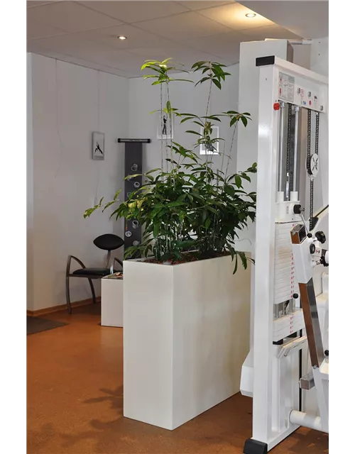 fleur ami POLYSTONE DIVIDE Raumteiler