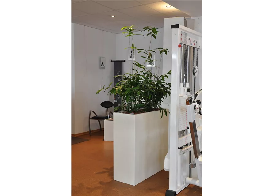 fleur ami POLYSTONE DIVIDE Raumteiler