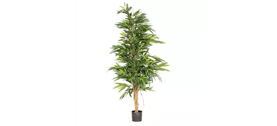 fleur ami LONGIFOLIA ROYAL NATURAL Kunstpflanze