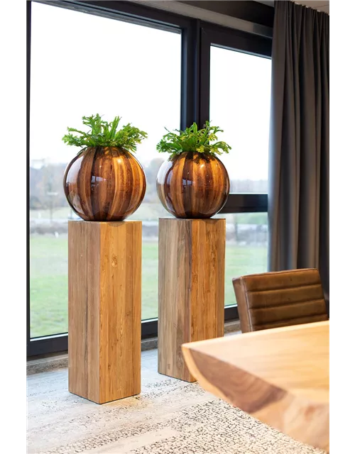 fleur ami NATURA BANANA Pflanzgefäß