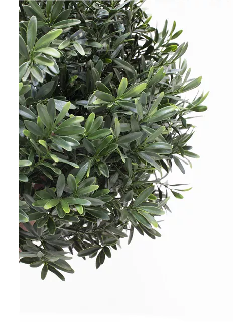 fleur ami ILEX BAUM Kunstpflanze