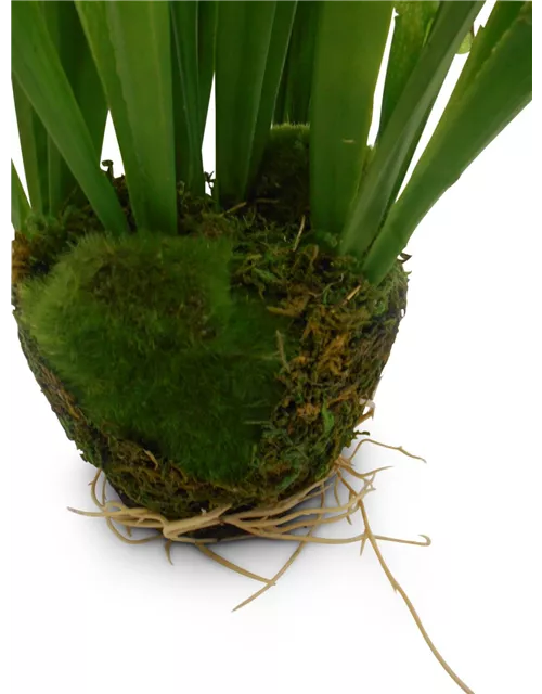 fleur ami KOBRALILIE Kunstpflanze