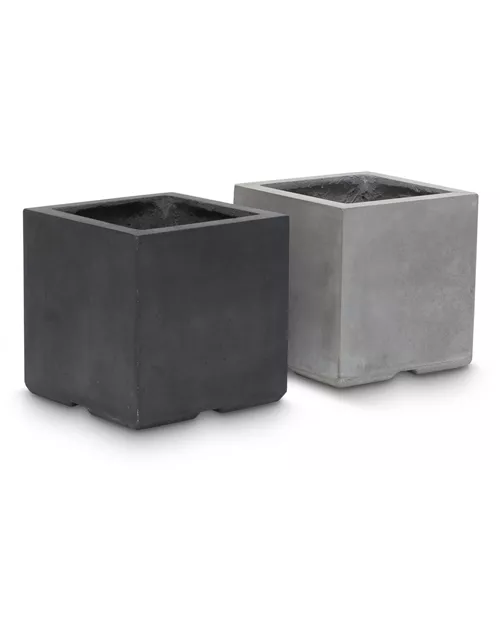 fleur ami DIVISION PLUS Pflanzwürfel