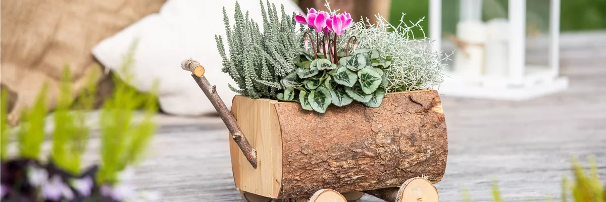 Pflanzgefäß aus Holz im Ambiente