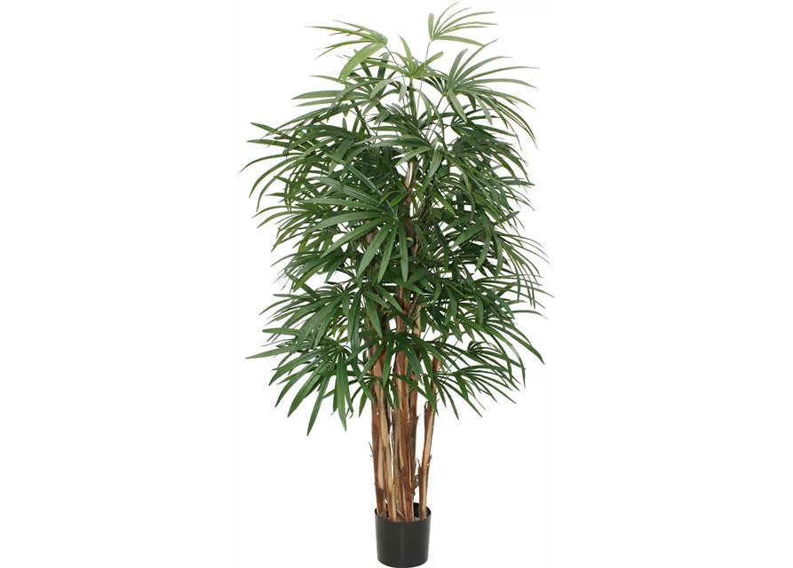 fleur ami RHAPIS DELUXE Kunstpflanze