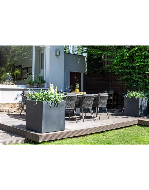 fleur ami DIVISION PLUS Pflanzgefäß