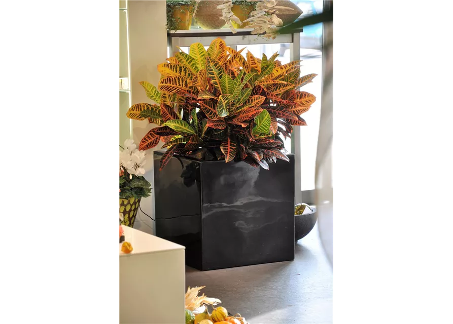 fleur ami PREMIUM CUBUS Pflanzgefäß