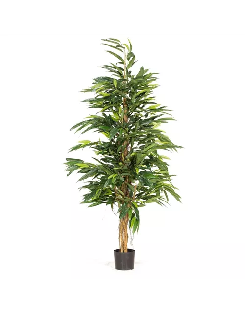 fleur ami LONGIFOLIA ROYAL NATURAL Kunstpflanze