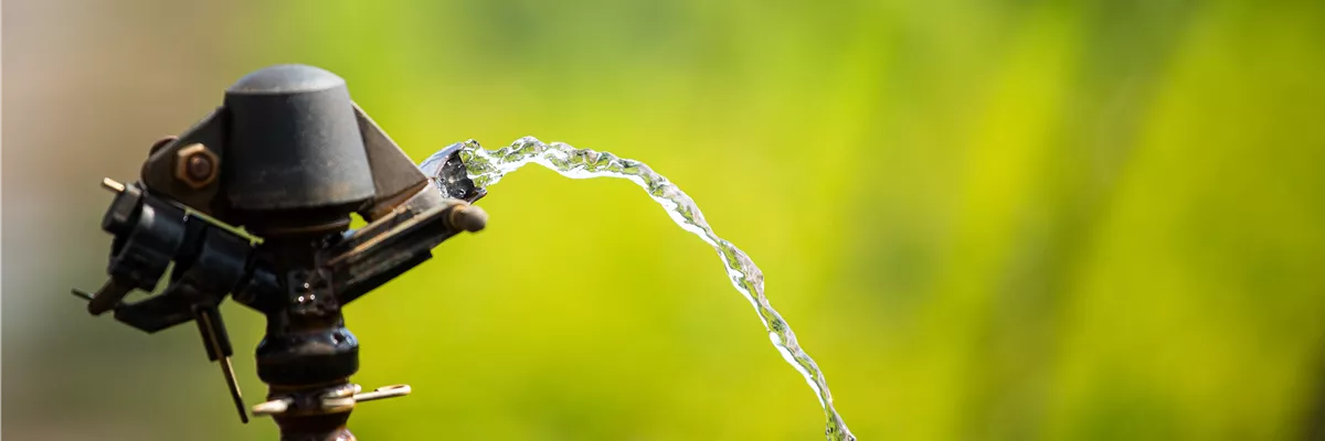 Pflanzenbewässerung