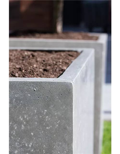 fleur ami DIVISION PLUS Pflanzgefäß