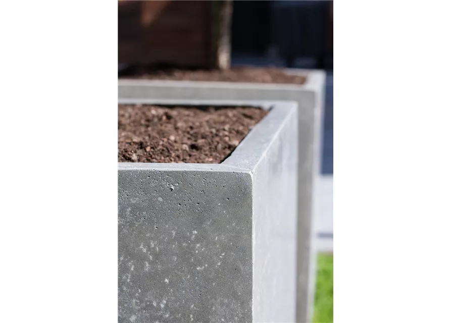 fleur ami DIVISION PLUS Pflanzgefäß