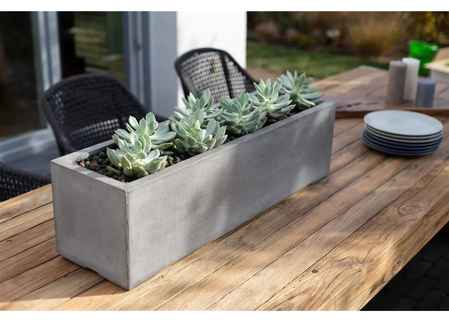 fleur ami DIVISION PLUS Pflanzkasten