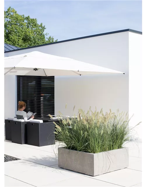 fleur ami DIVISION PLUS Würfel