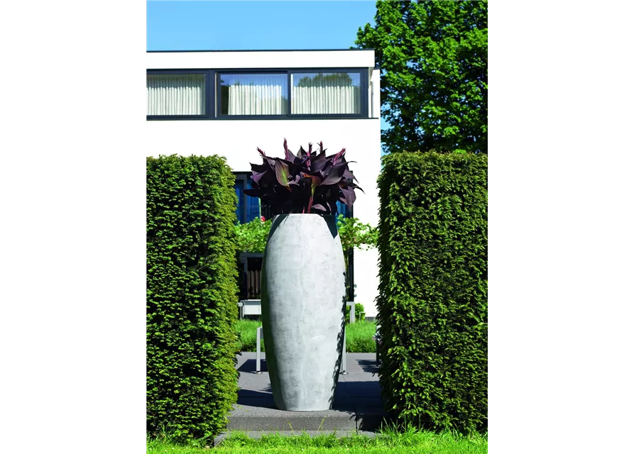 fleur ami POLYSTONE ESSENCE Pflanzgefäß