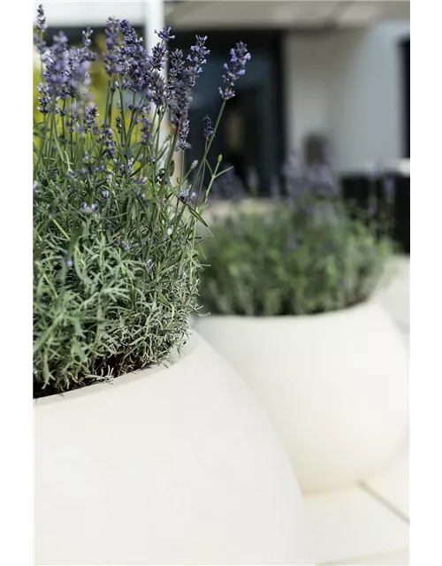 fleur ami POLYSTONE GLOBE Pflanzgefäß