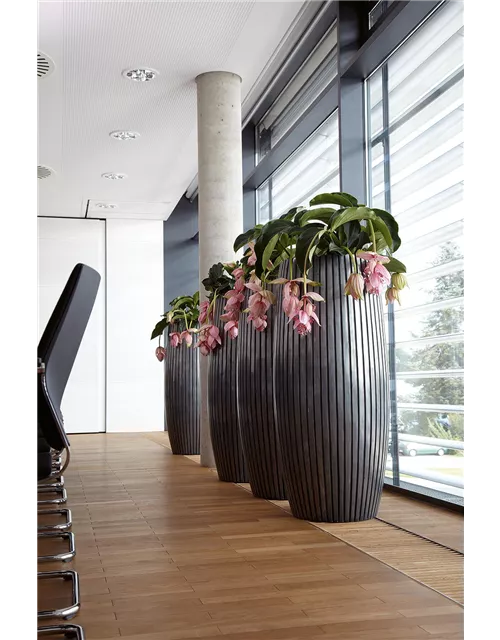 fleur ami LINES Pflanzgefäß