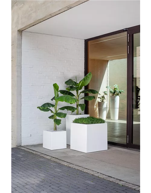 fleur ami TRIBECA BLOCK Pflanzkübel quadratisch