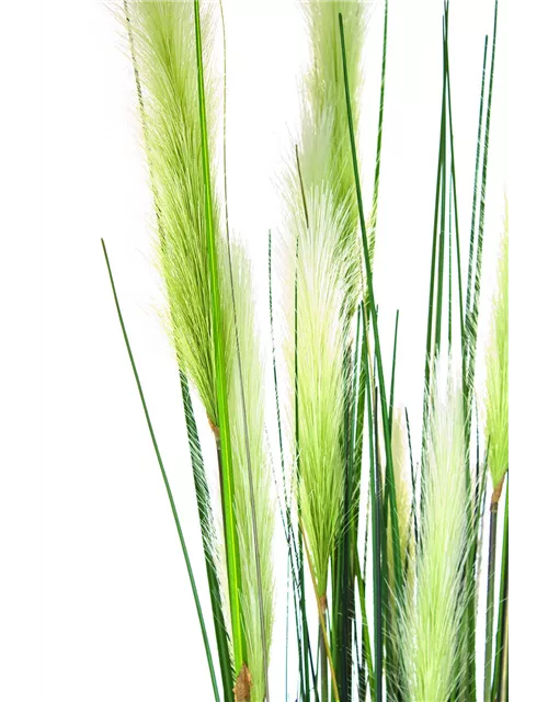 fleur ami ROHRKOLBEN (TYPHA) Kunstpflanze