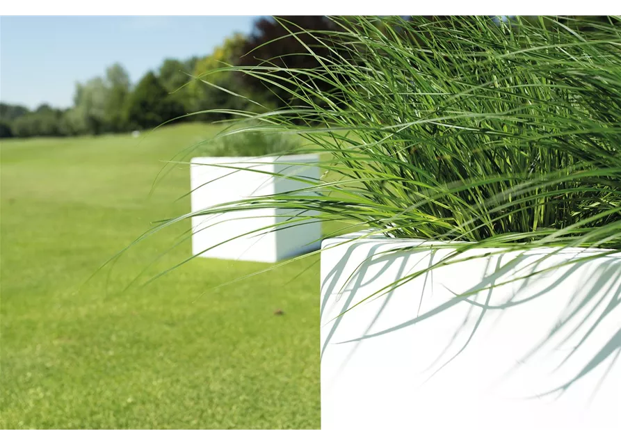 fleur ami PREMIUM CUBUS Pflanzgefäß