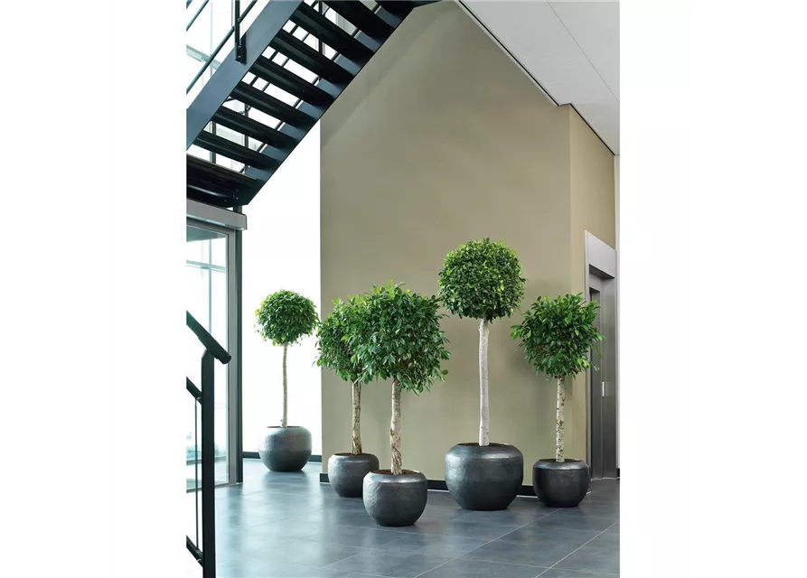 fleur ami NEW LOFT Pflanzgefäß