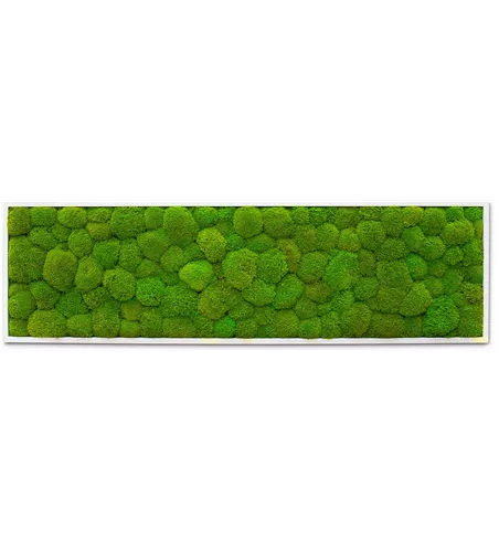 fleur ami PREMIUM Moos-Bild