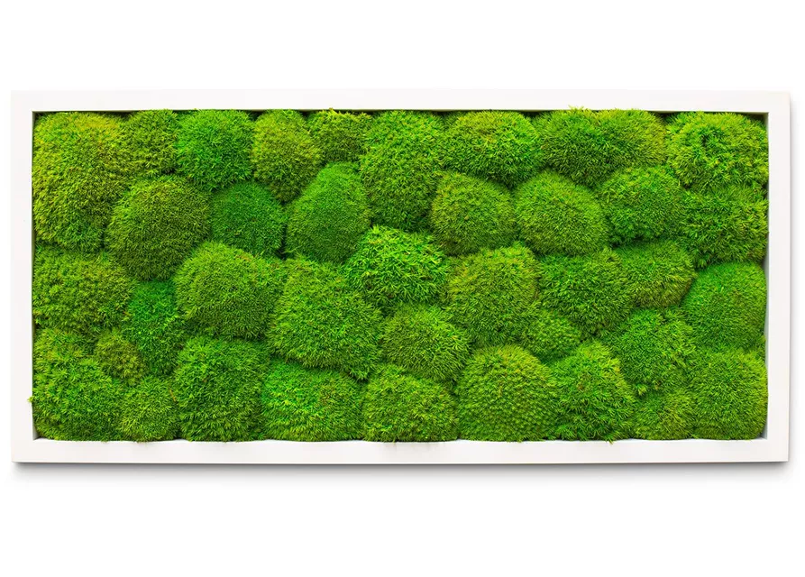 fleur ami PREMIUM Moos-Bild fleur ami PREMIUM Moos-Bild