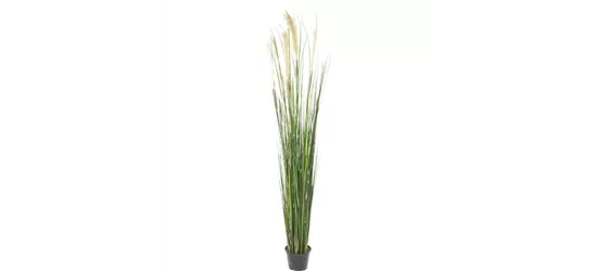 fleur ami ROHRKOLBEN (TYPHA) Kunstpflanze