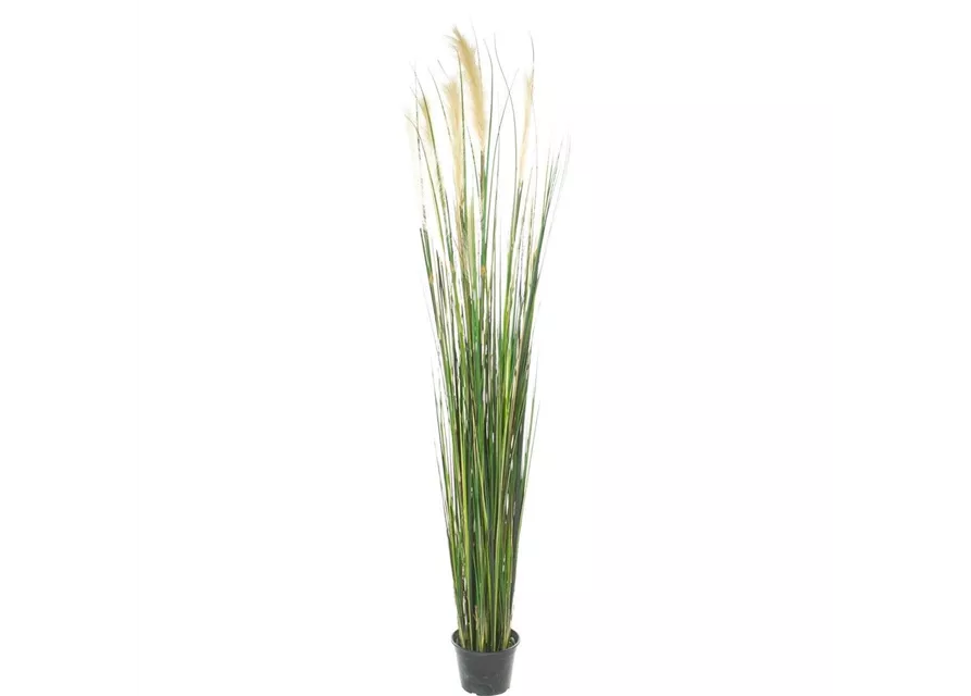 fleur ami ROHRKOLBEN (TYPHA) Kunstpflanze