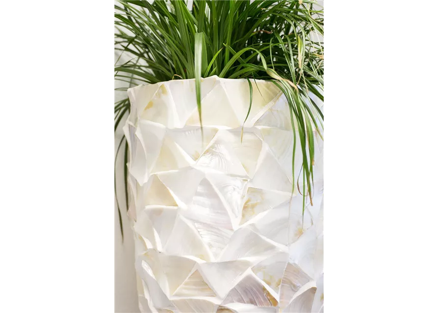 fleur ami MUSCHEL Pflanzgefäß