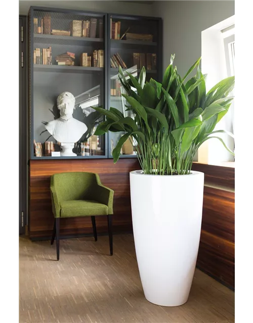 fleur ami PREMIUM LUNA Pflanzgefäß