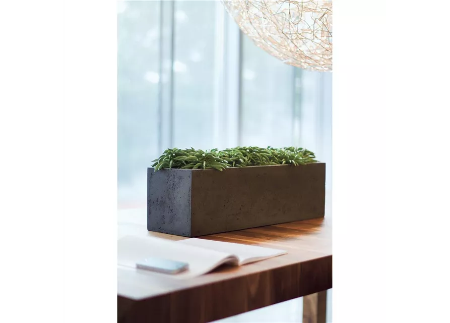 fleur ami POLYSTONE FLOWERBOX Tischgefäß