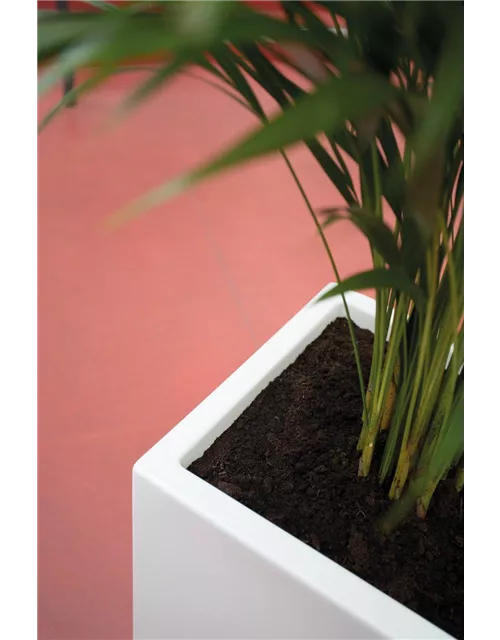 fleur ami PREMIUM TOWER Pflanzsäule