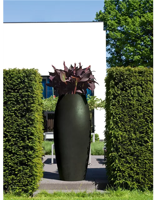 fleur ami POLYSTONE ESSENCE Pflanzgefäß