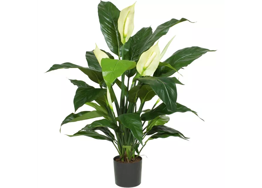 fleur ami SPATHIPHYLLUM DELUXE Kunstpflanze