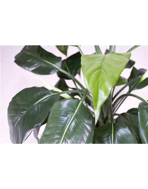 fleur ami SPATHIPHYLLUM DELUXE Kunstpflanze