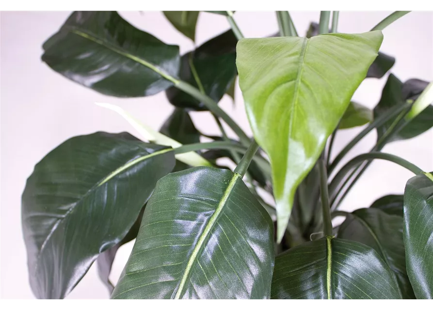 fleur ami SPATHIPHYLLUM DELUXE Kunstpflanze