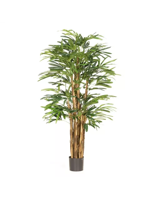 fleur ami RAPHISPALME Kunstpflanze