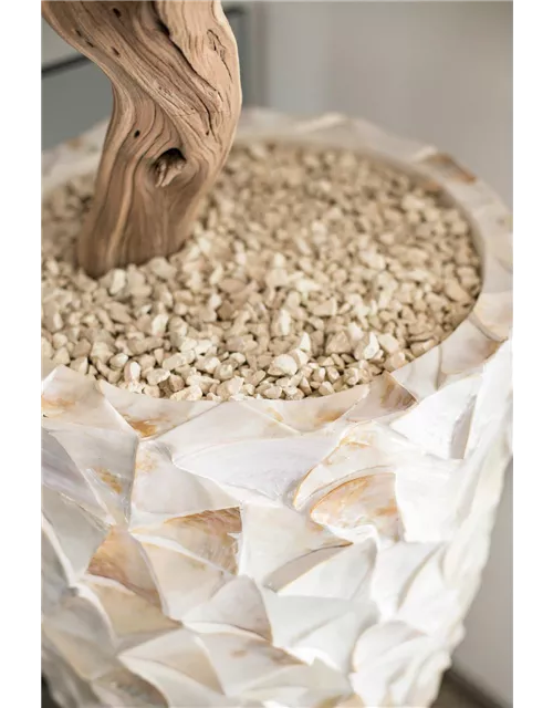 fleur ami MUSCHEL Pflanzgefäß