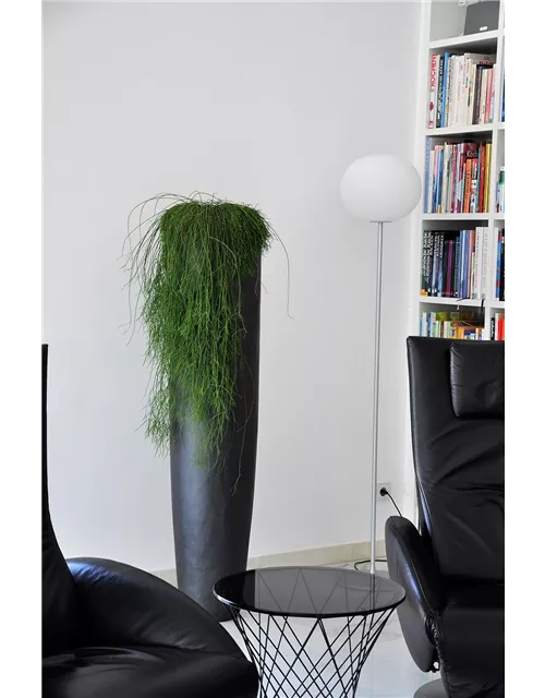 fleur ami NEW LOFT Pflanzgefäß