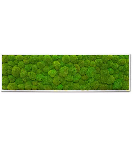 fleur ami PREMIUM Moos-Bild