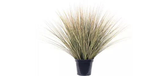 fleur ami ZWIEBELGRAS Kunstpflanze