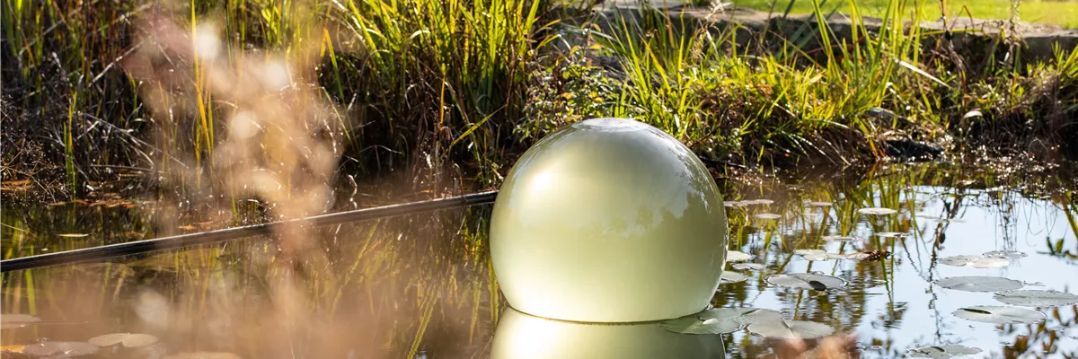 Teichkugel