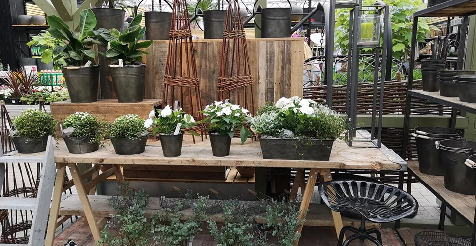 UNSER WOHNGARTEN - DIE PFLANZBAR