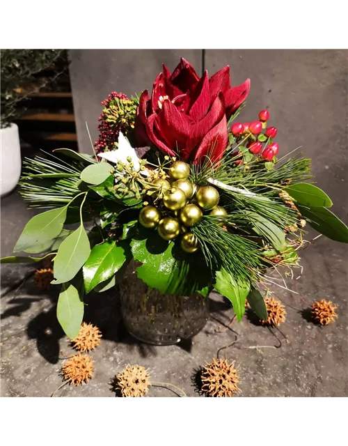 Amarylliszauber in rot mit Seidenkiefer und kleinen goldenen Kugeln