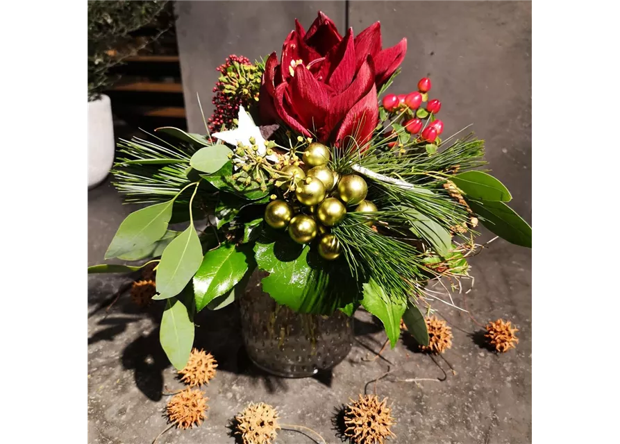 Amarylliszauber in rot mit Seidenkiefer und kleinen goldenen Kugeln