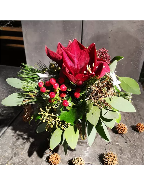 Amarylliszauber in rot mit Seidenkiefer und kleinen goldenen Kugeln