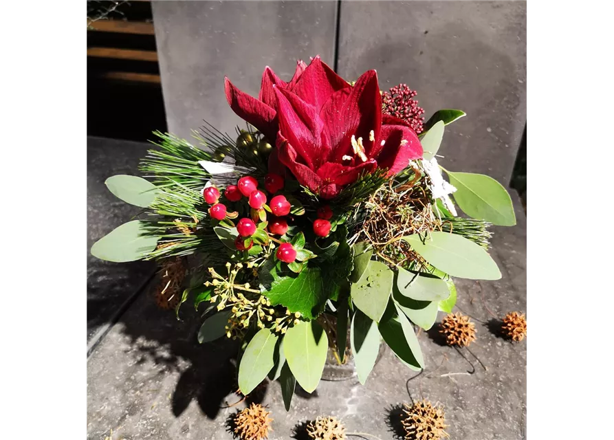 Amarylliszauber in rot mit Seidenkiefer und kleinen goldenen Kugeln