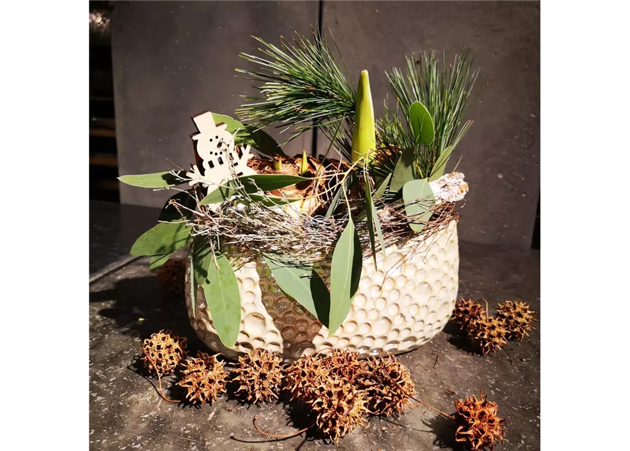 Pflanzschale 'Grüße vom Schneemann'