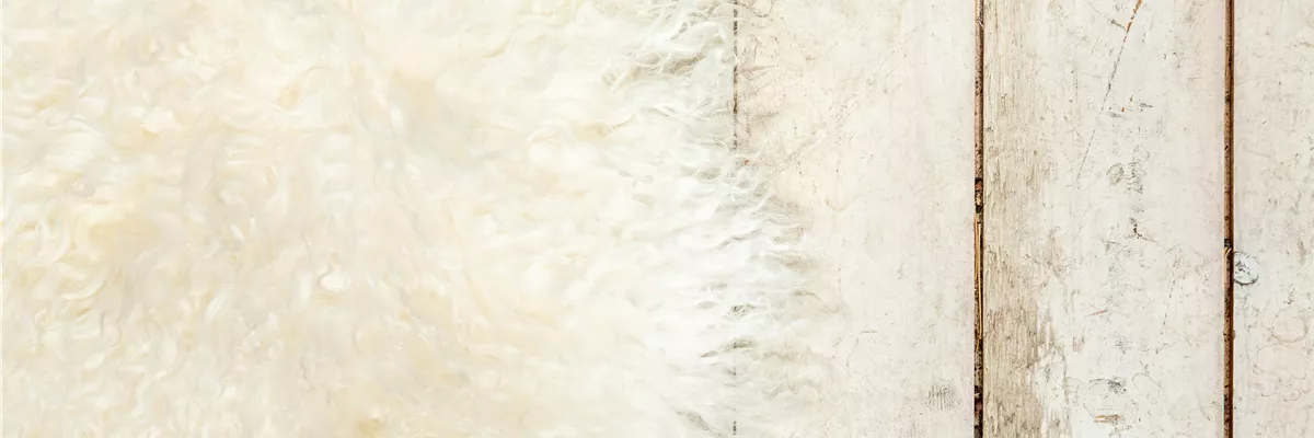 Strukturen - Fell und Holz