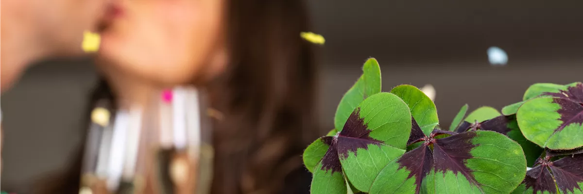 Silvester - Kuss hinter Glücksklee